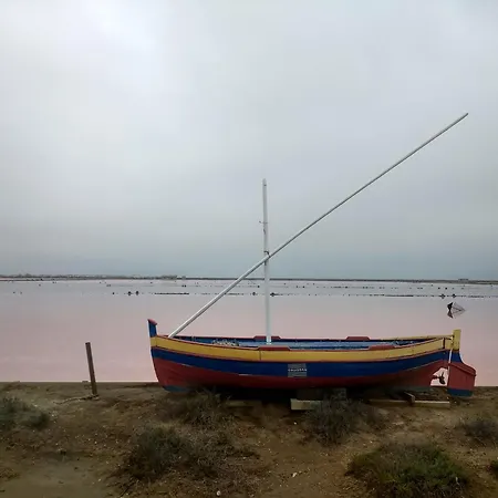 Pays D'oc Holiday home *