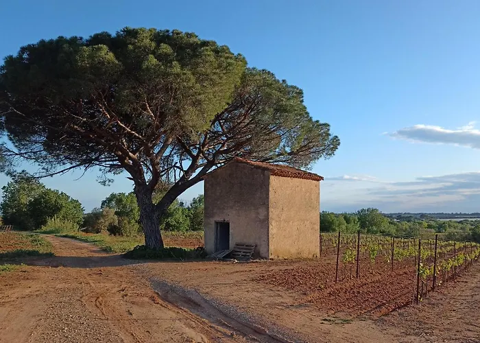 Pays D'oc * 베지에